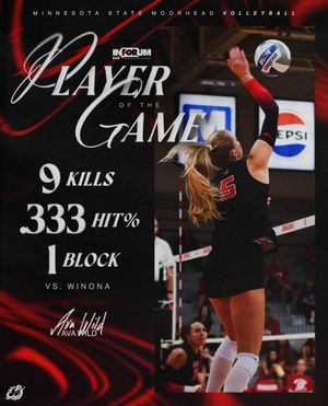 Image post by @msum_volleyball on Instagram