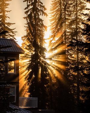 Image post by @thefulltimehobby on Instagram