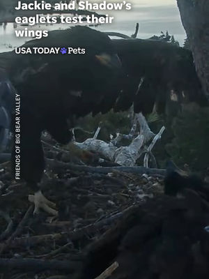 Video post by @usatoday on TikTok