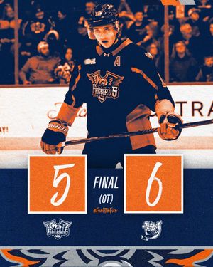 Image post by @flintfirebirds on Instagram