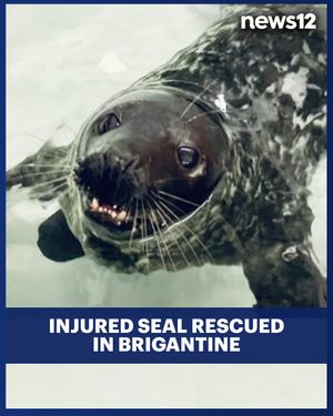 Image post by @news12nj on Instagram