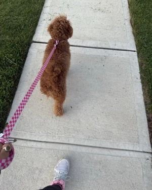 Image post by @villageattheblvd on Instagram