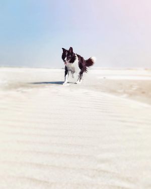 Image post by @mokelevine on Instagram