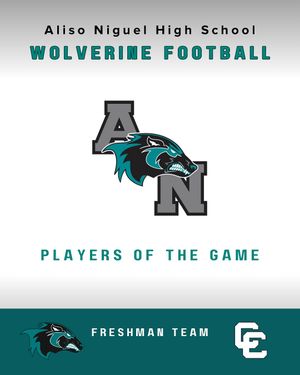 Image post by @aliso_football on Instagram
