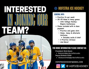 Image post by @hoficehockey on Instagram