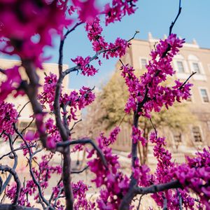 Image post by @tturawlscollege on Instagram
