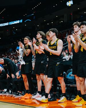 Image post by @vandalhoops on Instagram