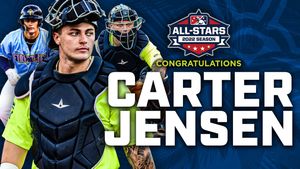 Image post by @ColaFireflies on Twitter
