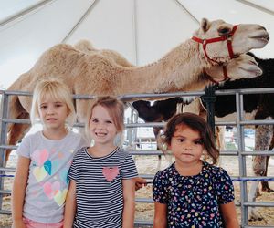 Image post by @michiganstatefair on Instagram