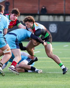 Image post by @harlequins on Instagram