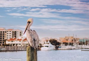 Image post by @bootsphotographyllc on Instagram