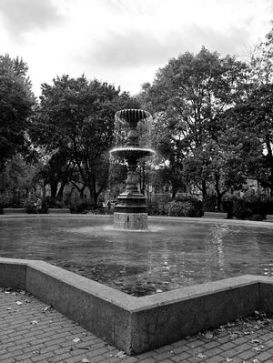 Image post by @mtl_unscripted on Instagram