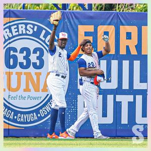 Image post by @syracusemets on Instagram