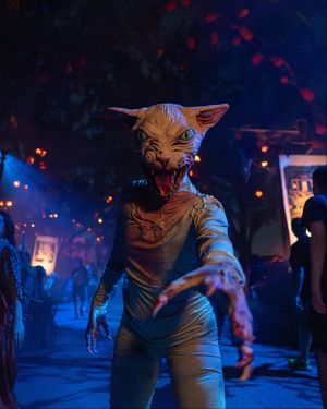 Image post by @horrornightsorl on Instagram