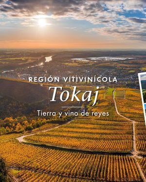 Image post by @riedelpartner_vnzla on Instagram
