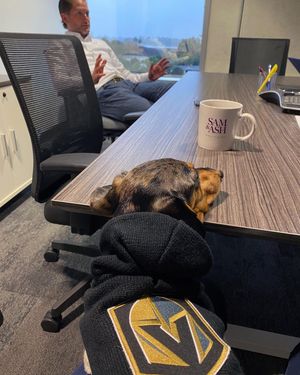 Image post by @samandashlaw on Instagram