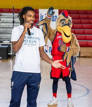 Image post by @pelicanscommunity on Instagram