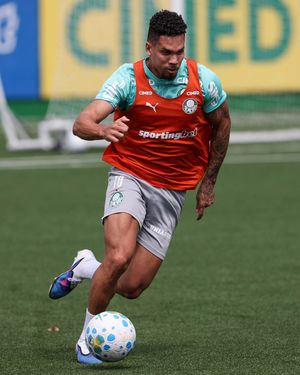 Image post by @palmeiras on Instagram