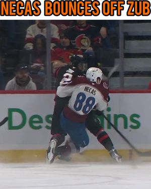 Image post by @hockeyfights on Instagram