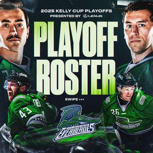 Image post by @fl_everblades on Instagram