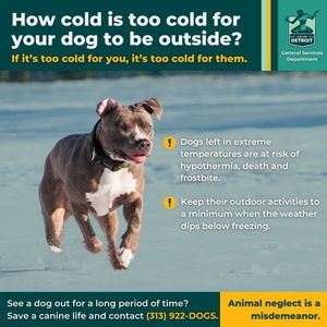 Image post by @DetroitGSD on Facebook
