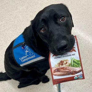 Image post by @canineorg on Instagram