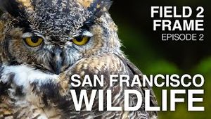 Video post by @CanonUSA on YouTube