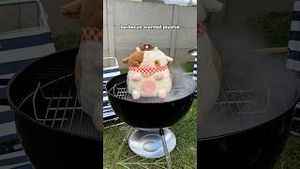 Video post by @shopzoki on YouTube