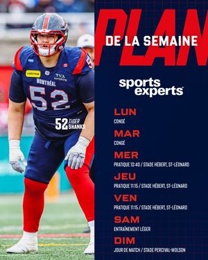 Image post by @mtlalouettes on Instagram
