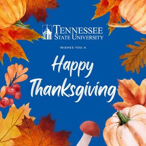 Image post by @tennstateu on Instagram