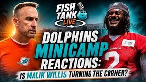 Video post by @dolphinstalk on YouTube