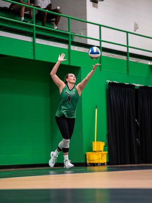 Image post by @herdvolleyball on Instagram