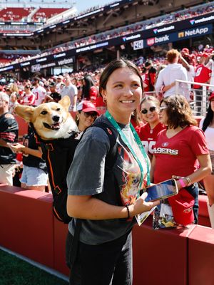 Image post by @ziggy_thecorg on Instagram