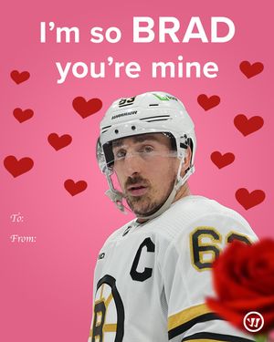 Image post by @warriorhky on Instagram