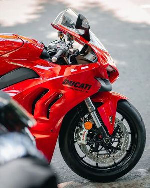 Image post by @panigalers on Instagram