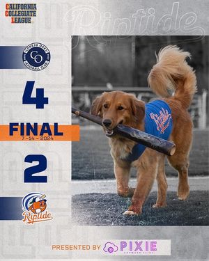 Image post by @ocriptidebaseball on Instagram
