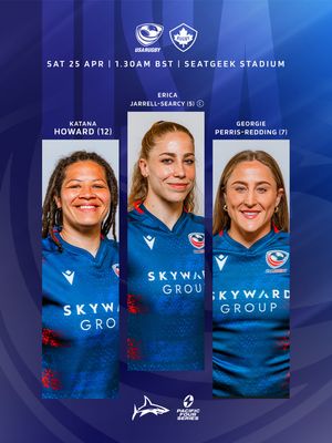 Image post by @salesharkswomen on Instagram