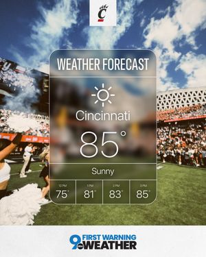 Image post by @GoBEARCATS on Twitter