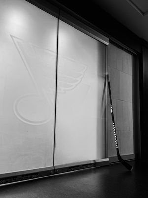 Image post by @StLouisBlues on Twitter