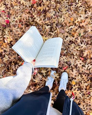 Image post by @blondiereads_ on Instagram