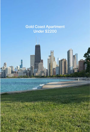 Video post by @smartcitychicago on TikTok