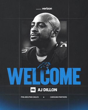 Image post by @Panthers on Twitter