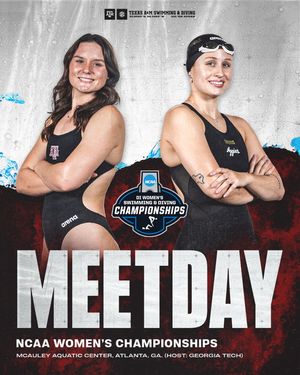 Image post by @aggieswimdive on Instagram