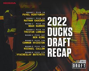 Image post by @anaheimducks on Instagram