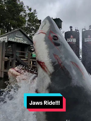 Video post by @parkineer on TikTok