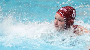 Image post by @IndianaWPolo on Twitter