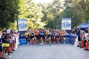 Image post by @nyrr on Instagram