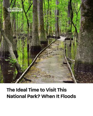 Image post by @thrillist on Instagram