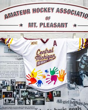 Image post by @cmuhockeyd3 on Instagram