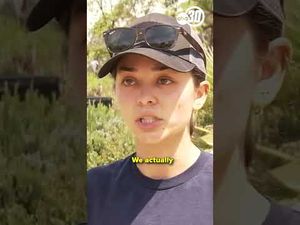Video post by @abc30actionnews on YouTube